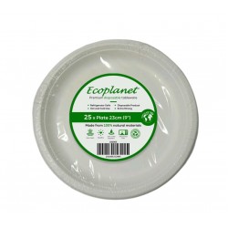 DISPOSABLE  PLATE 9 INCH PACKED 25 PCS