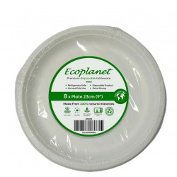 DISPOSABLE  PLATE 9 INCH PACKED 8 PCS