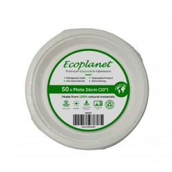 DISPOSABLE  PLATE 10 INCH PACKED 50 PCS