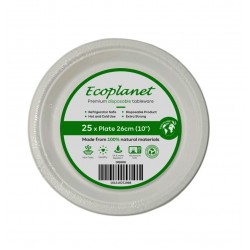 DISPOSABLE  PLATE 10 INCH PACKED 25 PCS