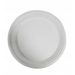 DISPOSABLE  PLATE 10 INCH PACKED 8 PCS