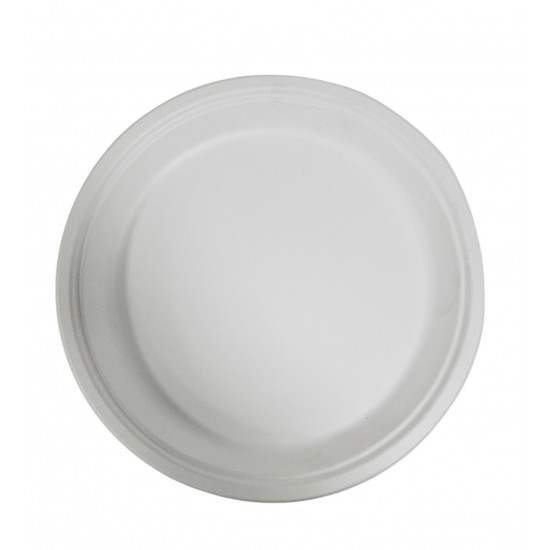 DISPOSABLE  PLATE 10 INCH PACKED 8 PCS