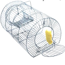 RAT CAGE SILVER 31CM X 17CM
