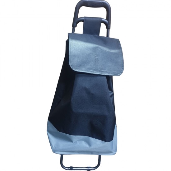 SHOPPING TROLLY WITH 2 WHEELS 