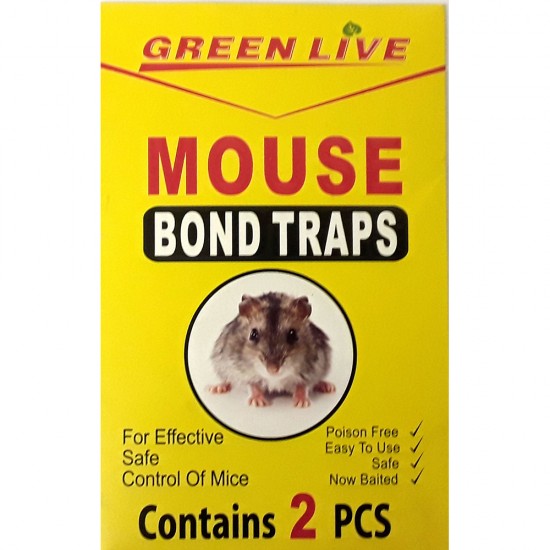 MOUSE TRAP CARDED 