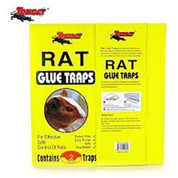 RAT TRAP CARDED