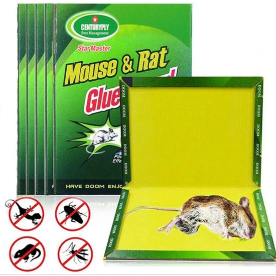 RAT AND MOUSE GLUE TRAP GREEN PALM RAT AND MOUSE GLUE TRAP GREEN PALM