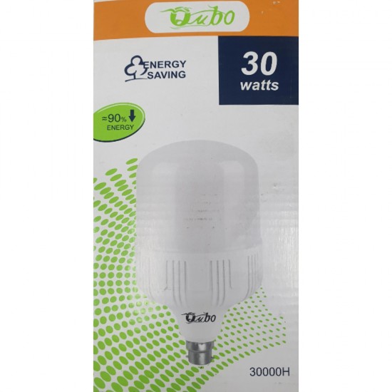 LED BULB 30W B22 LED BULB 30W B22