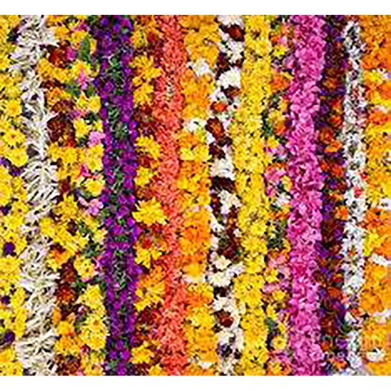 FLOWER LINE 6FT NO 2